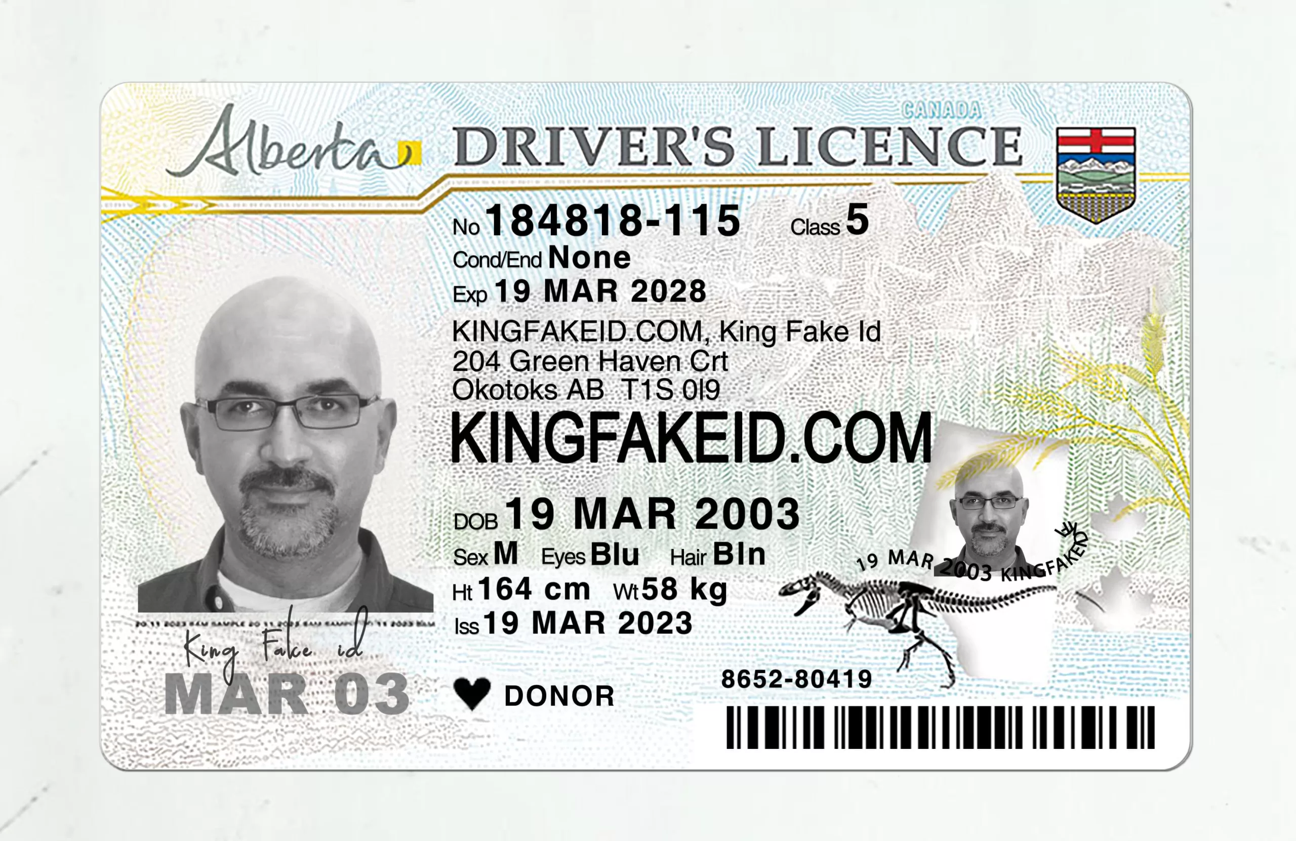 international driver license Canada