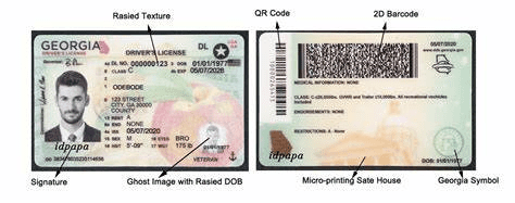 Georgia Fake ID Front and Back